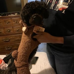 Meet your Posher, Jade